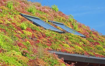 Upper Birchwood living roof systems